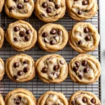 Chewy Chocolate Chip Cookies
